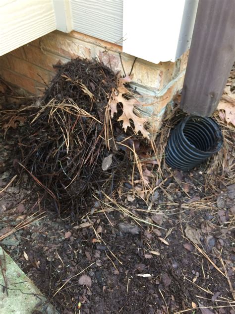 Underground Gutter Drain Clogged Many Homeowners Are Unaware Of The