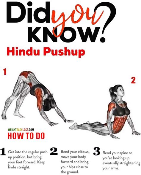 Kinds Of Push Ups Cheaper Than Retail Price Buy Clothing Accessories