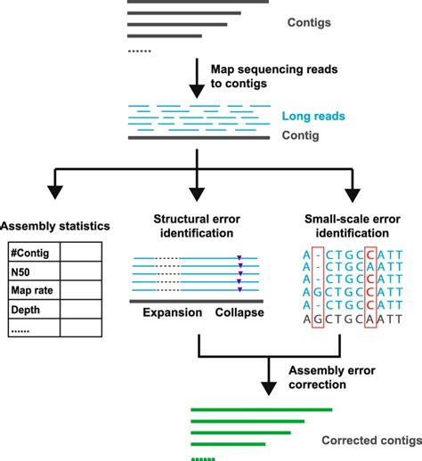 Inspector Workflow For Evaluating Of De Novo Assembly Results By