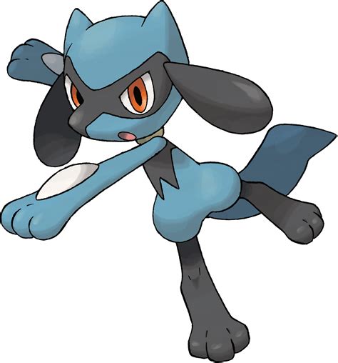 Riolu The Pokémon Wiki
