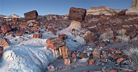 Visiting Petrified Forest National Park Facts And Guide