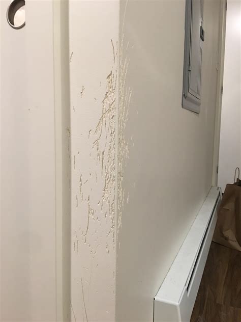 How Can I Fix The Scratches Made On The Wall By My Cat Howto