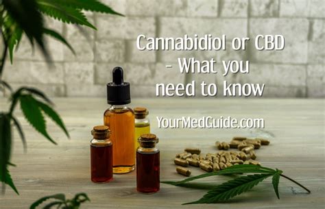 Cbd Aka Cannabidiol 101 Important Facts You Should Know Your Med Guide