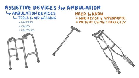 Assistive Devices For Ambulation For Nursing Assistant Training
