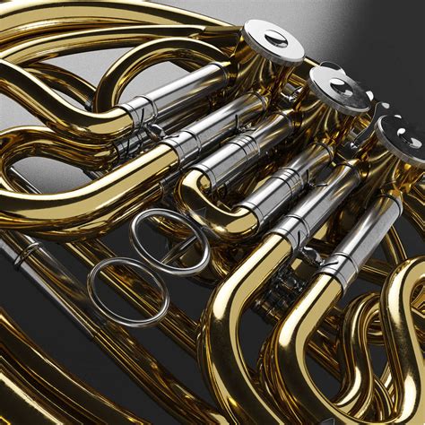 Shiny French Horn Wall Art Photography