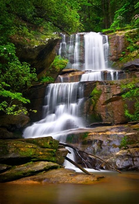 Laeacco Spring Green Forest Waterfall Scenic Photography Backgrounds