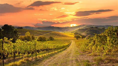 25 California Wineries Every Wine Lover Should Know Jaca Huesca