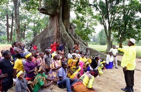 1944) is a ugandan politician who has been president of uganda since 29 january 1986. Museveni visits sacred Nakayima tree in Mubende - Matooke ...