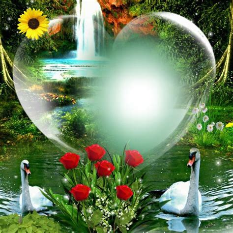 You'll never get bored with pixiz! Photo montage Cadre nature - Pixiz