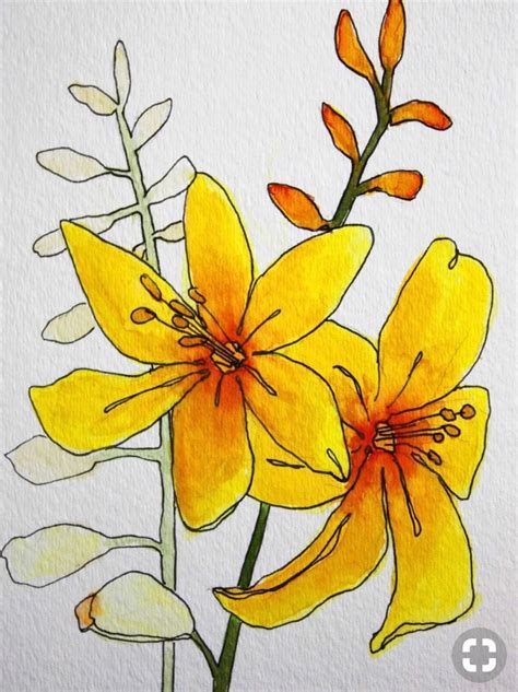 Watercolor Flowers Paintings Watercolour Painting Painting And Drawing