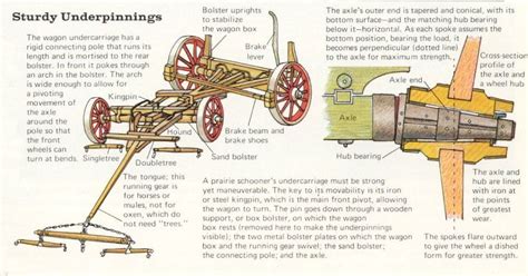 Covered Wagon Undercarriage Diagram Horse Drawn Wagon