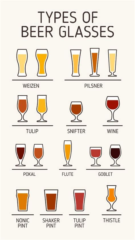 Beer Glass Guide Types Shapes Explained Artofit