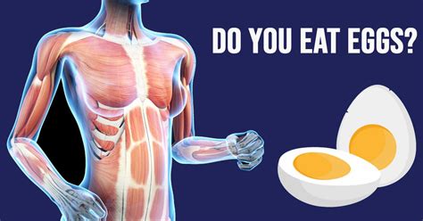 What Happens To Your Body When You Eat 2 Eggs A Day The Results Will