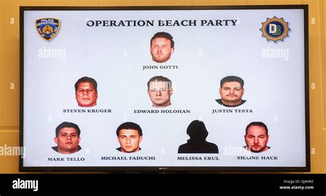 A chart supplied by the NYPD shows mugshots of alleged felons arrested