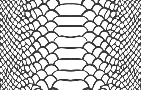 Seamless Green Snake Skin Pattern 15738567 Vector Art At Vecteezy