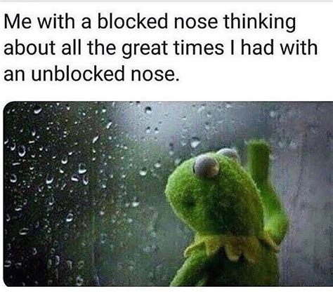 Memes On Instagram Every Winter Cold Sick Frog Relatable Haha