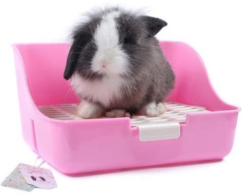 8 Best Litter Boxes Rabbits Will Love - Toy Pet Reviews