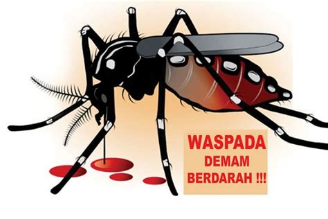 Gambar Poster Nyamuk Aedes Poster Denggi Bm 01 Pdf Isaki Hamasaki