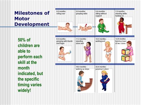 Ppt Infancy Physical Development Powerpoint Presentation Free