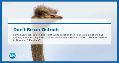 Dont Be An Ostrich M4 Property
