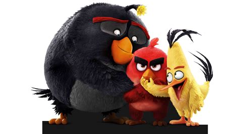 Chi Ti T H N V H Nh N N Angry Birds Solomon Edu Vn