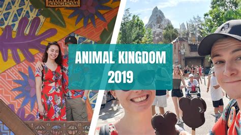 Animal Kingdom Walt Disney World August 2019 Youtube