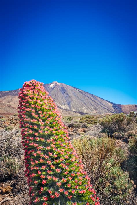 With the cable car we can contemplate the spectacular landscape of the largest national park in the canary islands. Pico del Teide Foto & Bild | landschaft, fotos, fun Bilder ...