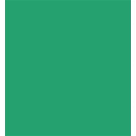 Westcott 10x24 Green Chromakey Sheet Background 5879 Bandh Photo