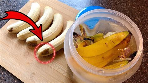 You Will Never Throw Away Banana Peels After Watching This Youtube