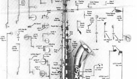 saxophone parts diagram