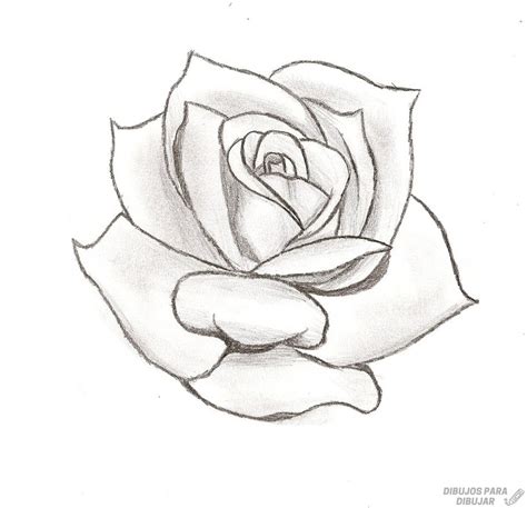 磊 Dibujos De Rosas 190 Lindas Y A Lápiz