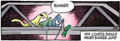 Funny Picture Why Lizards Should Never Bungee Jump Sick Humor