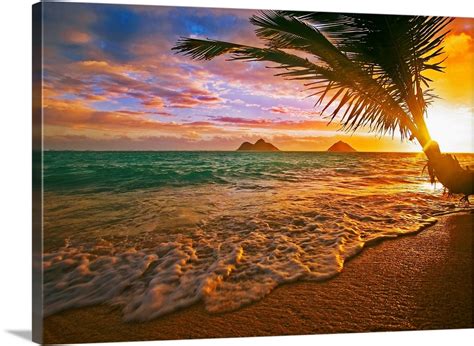 Hawaii Oahu Lanikai Beach At Sunrise Wall Art Canvas Prints Framed