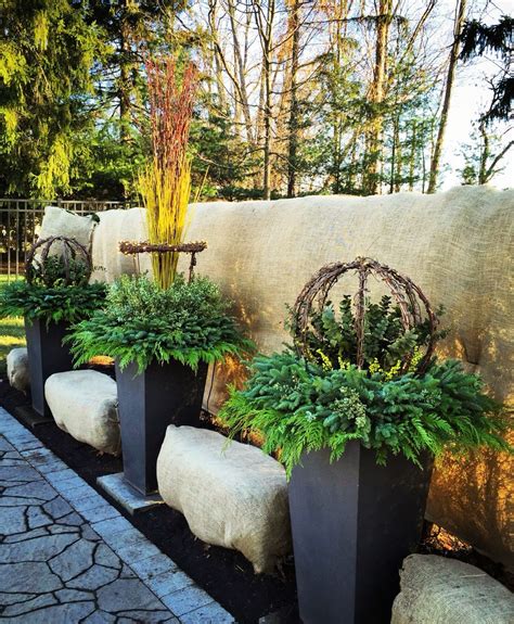13 Colorful Winter Planters For Your Outdoor Decorations Architect To