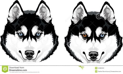 Huskies Head Clipart 20 Free Cliparts Download Images On Clipground 2023