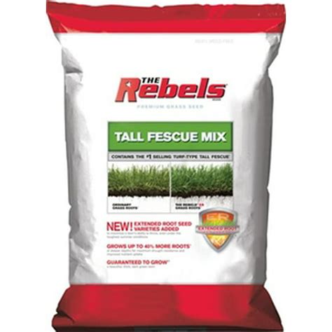Rebels Tall Fescue Grass Seed 40 Lbs