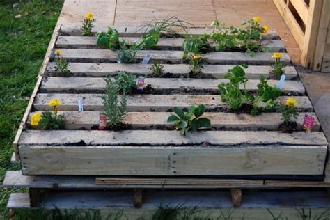 How To Plant An Herb Garden In A Salvage Wood Pallet How