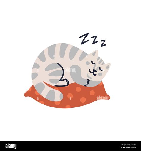 Vector Cat Illustration Cute Tabby Kitten Sleeping On The Pillow