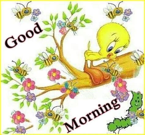 Tweety And Bees Good Morning Pictures Photos And Images For Facebook