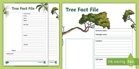 Blank Tree Fact File Teacher Made Twinkl