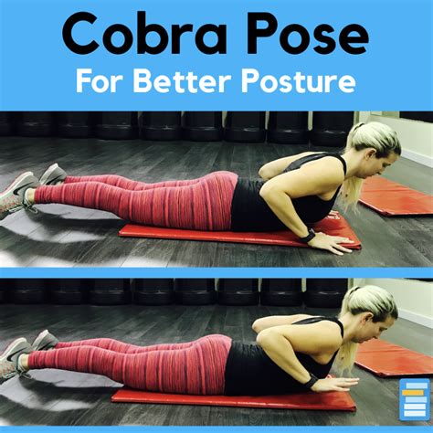 10 exercises to strengthen your back and improve your posture better posture exercise improve