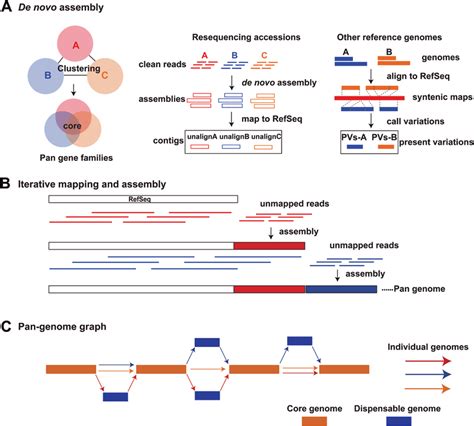 Methods For Pan Genome Construction A De Novo Assembly Multiple