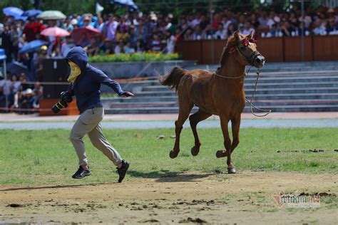 Bac Ha Horse Racing From Tradition To National Heritage