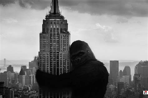 King Kong Aime Lempire State Building La Boite Verte