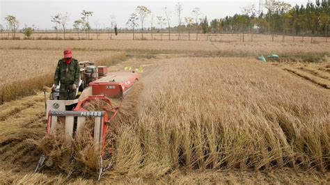Kubota To Offer Bigger Harvesters For Chinas Short Handed Farms