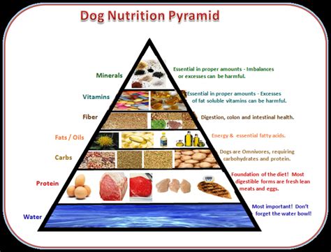 Top Dog Nutrition Facts