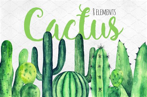 Watercolor Green Cactus Clip Art Cactus Green Cactus Clip Art