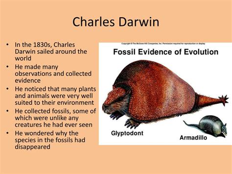 Ppt Ch 15 “darwin’s Theory Of Evolution” Powerpoint Presentation Id 2445907