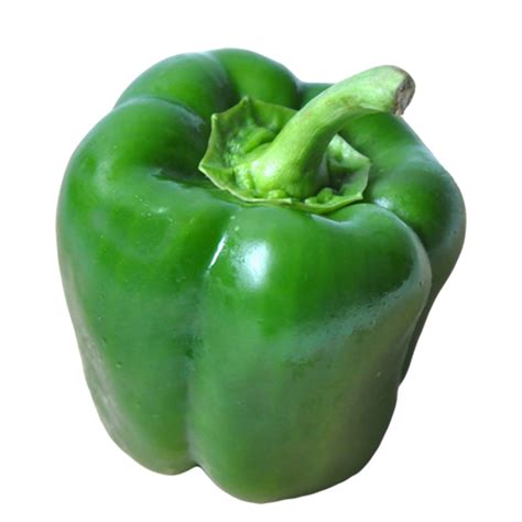 Capsicum Green 500g Village Fruits Mt Eliza