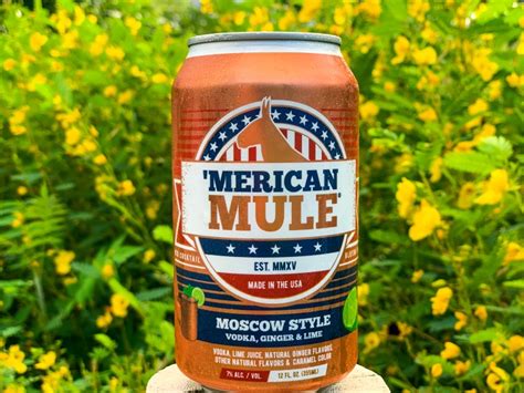 ‘merican Mule A Moscow Mule In A Can Hey Stamford